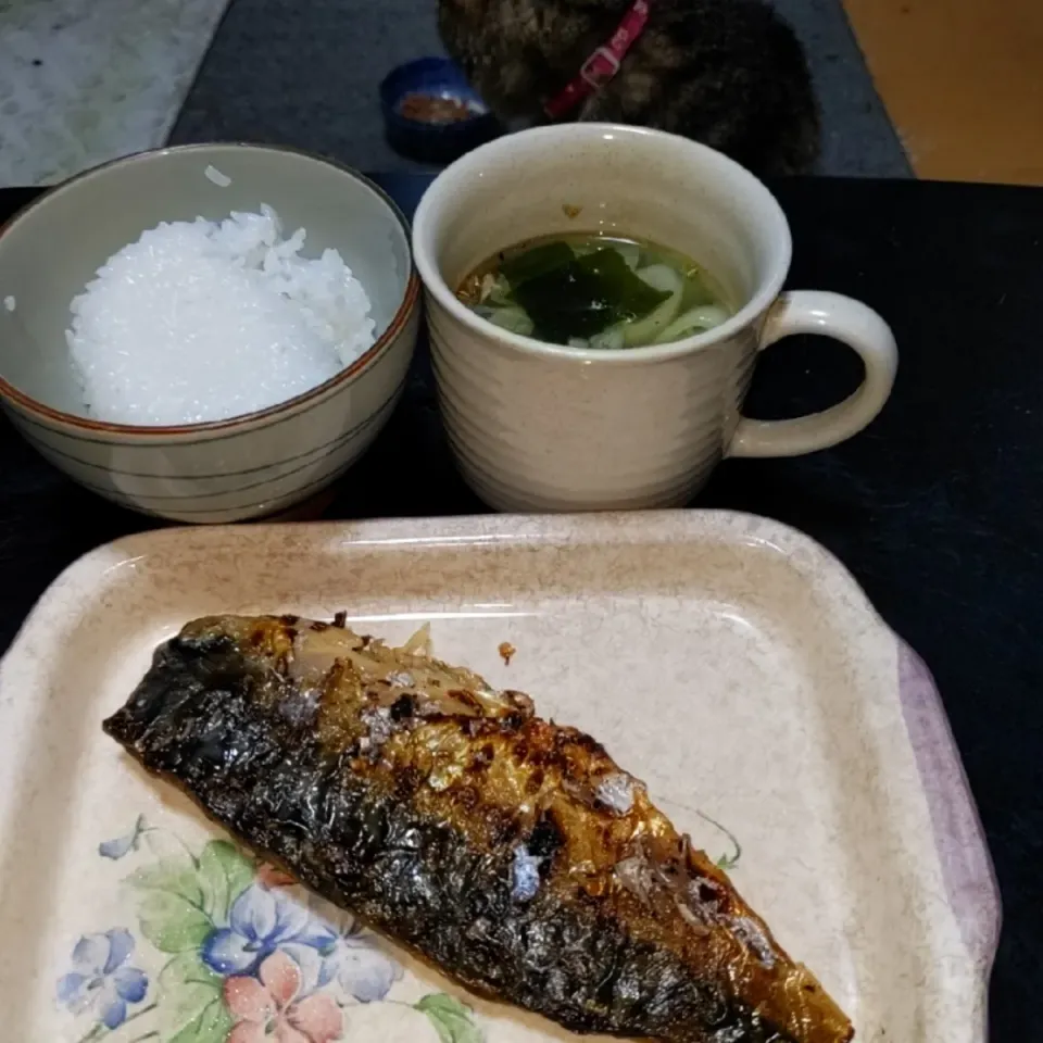 夜勤明け塩焼き鯖定食|Tarou  Masayukiさん