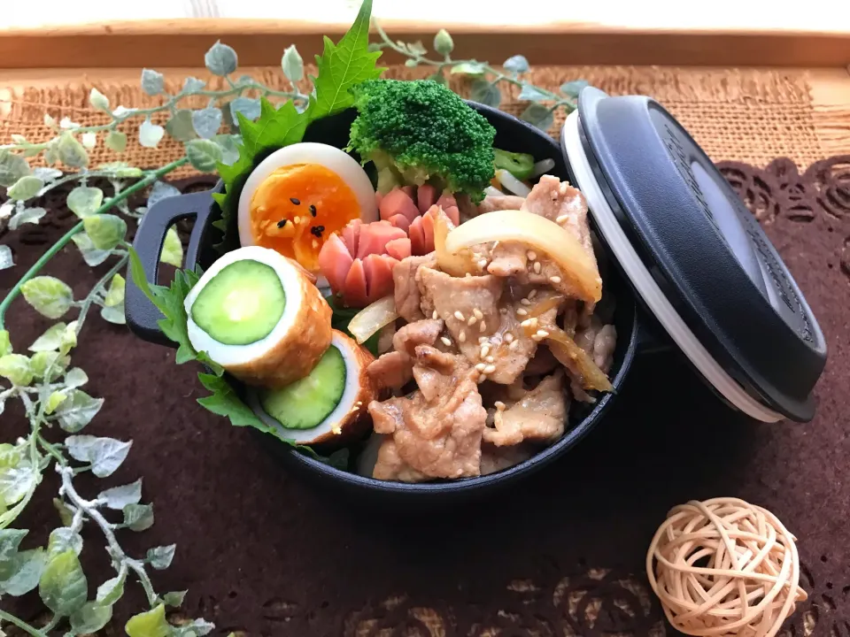 Snapdishの料理写真:誤差あり！ちくきゅう入り焼肉弁当～|まなまな♡さん