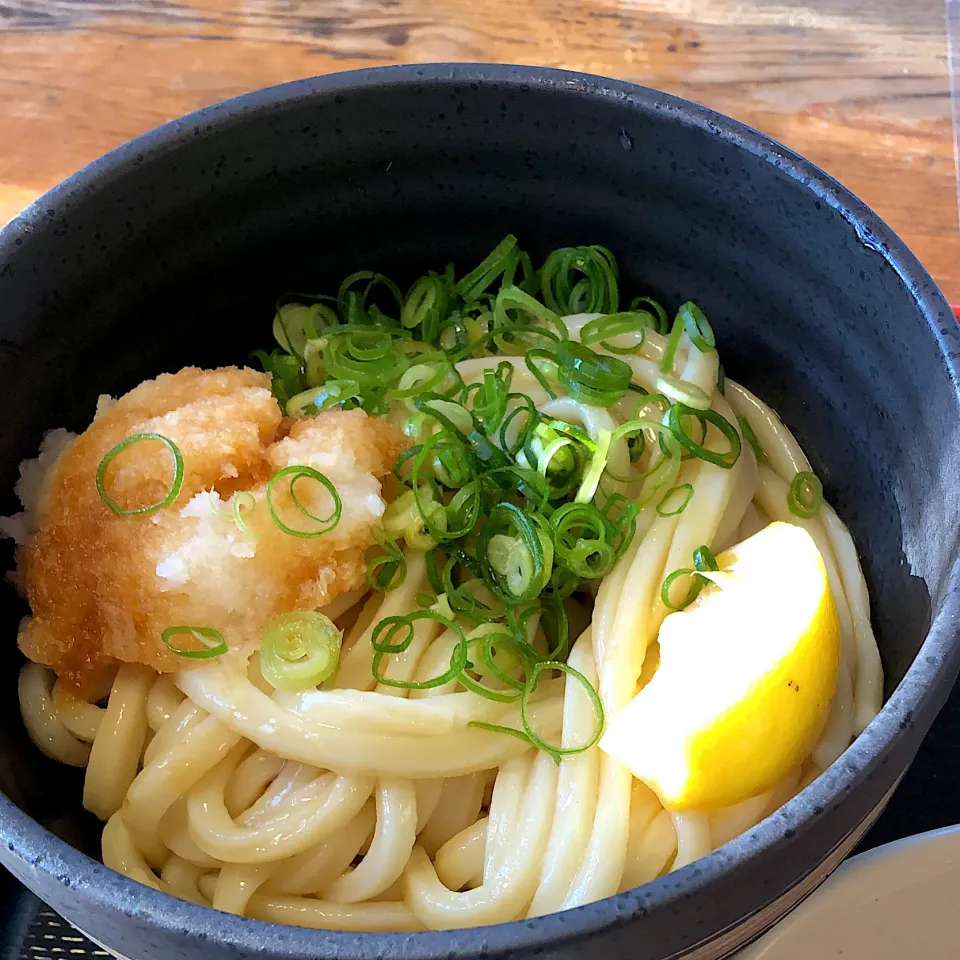 讃岐醤油うどん|藤本 ひろきさん