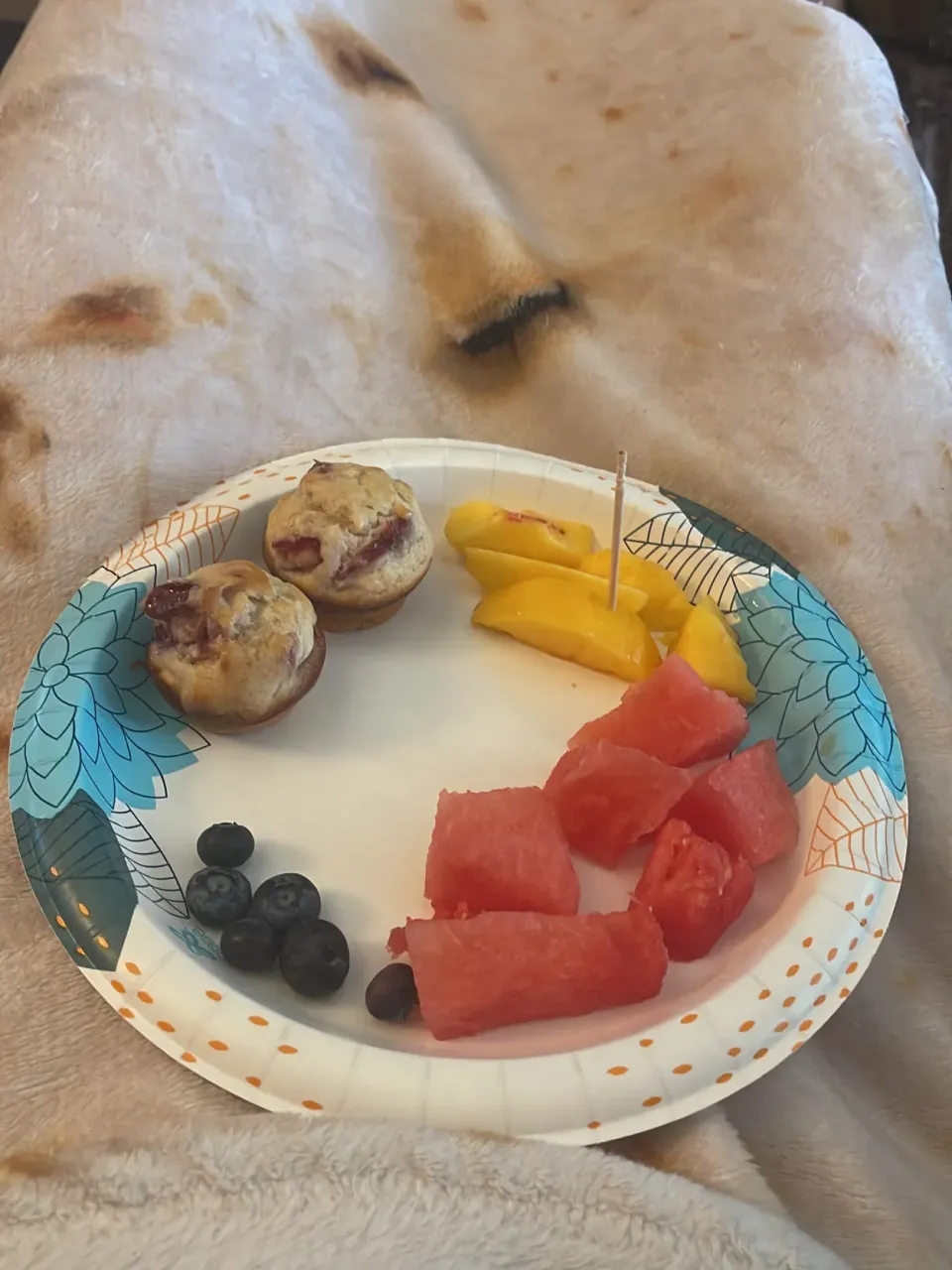 Orange cranberry muffins, peaches, blueberries, and watermelon|suさん