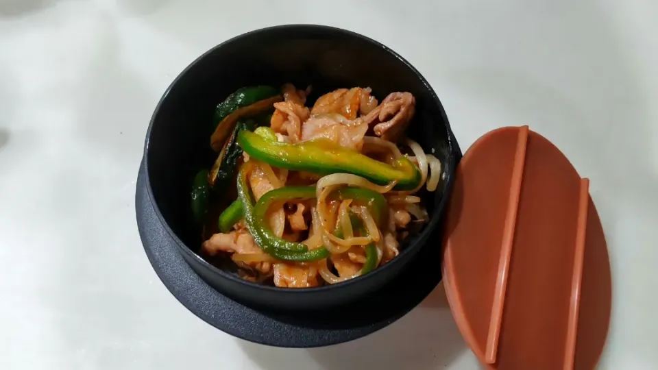 Snapdishの料理写真:【「勝ち飯」スタミナ丼】お弁当|puniさん