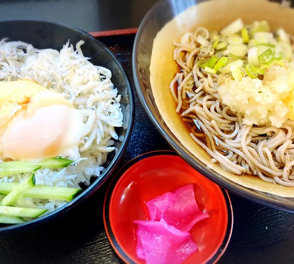 夏！しらすタラコ丼 冷おろし蕎麦セット ¥650|Blue Moon Caféさん