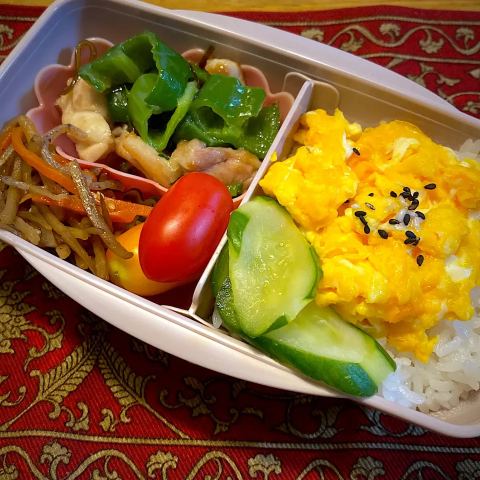 鶏肉とピーマンの塩昆布炒めと、きんぴらごぼうとらプチトマトと、玉子のせご飯弁当|もえさん