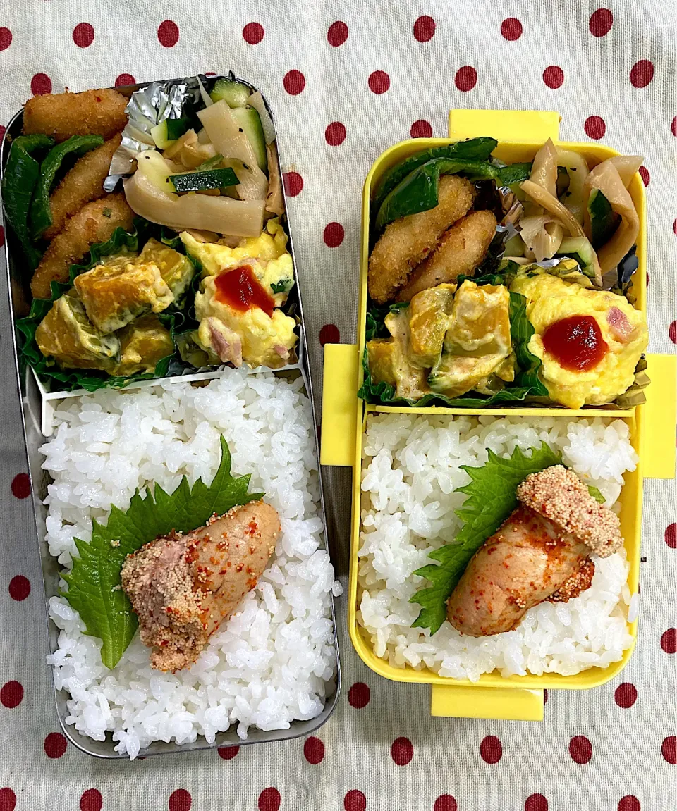 Snapdishの料理写真:8月4日 今日も猛暑(？)弁当🍱|sakuramochiさん