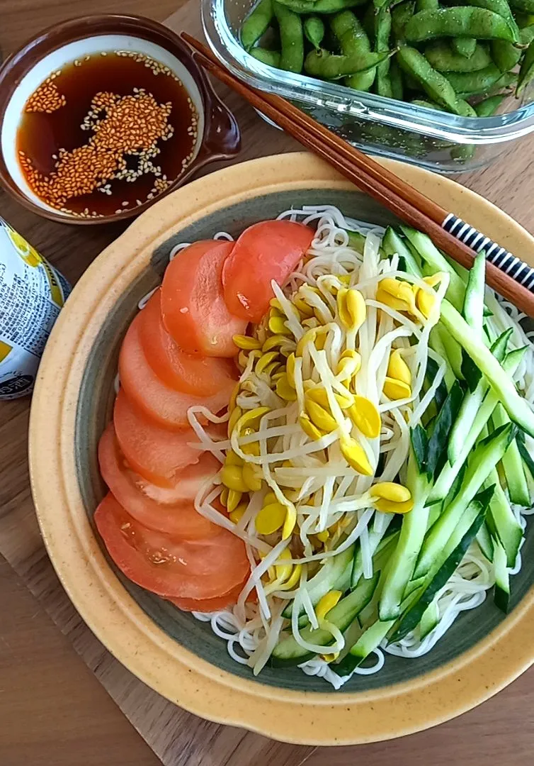 ｻﾗﾀﾞそうめん|まりおさん