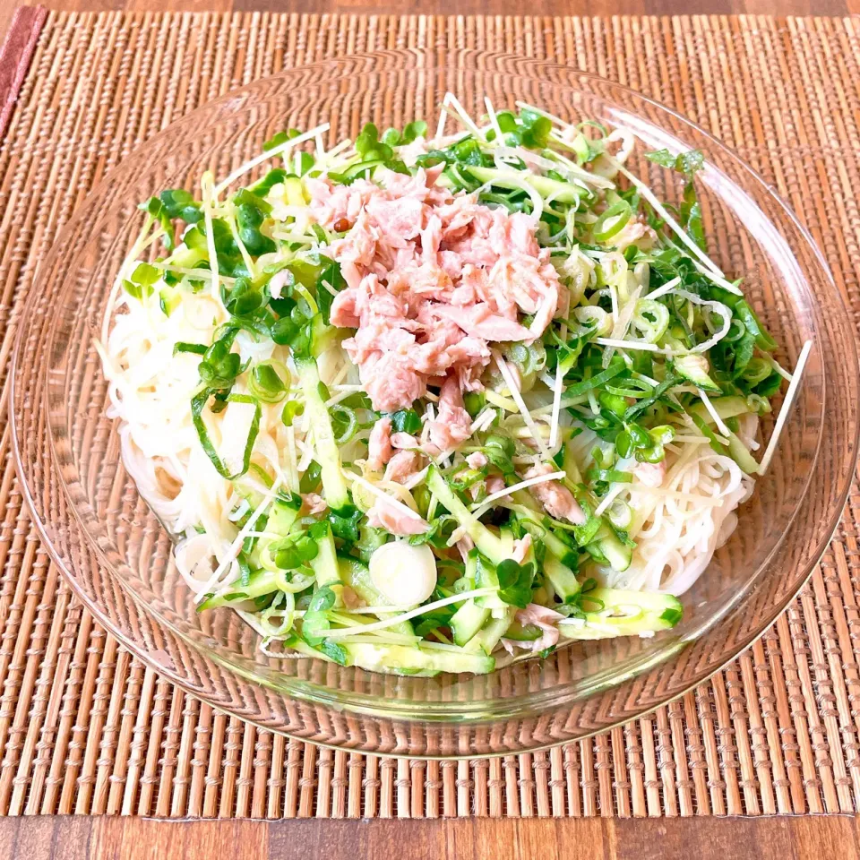 Snapdishの料理写真:薬味たっぷりぶっかけそうめん2|Ruotoさん