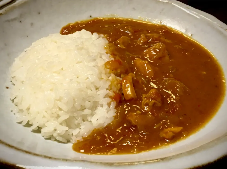 早々に作った                                    "夏バテ対策レシピ" 「糀甘酒でバターチキンカレー」|mottoさん