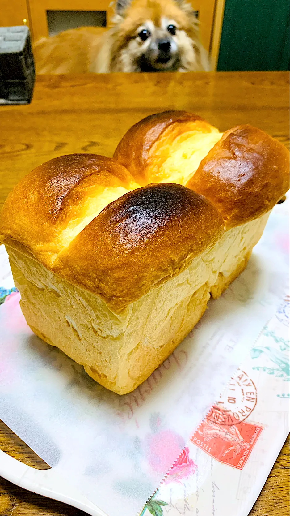 久しぶりにパンを焼きました🐄🍞✨生クリーム食パンです。|ちはるさん