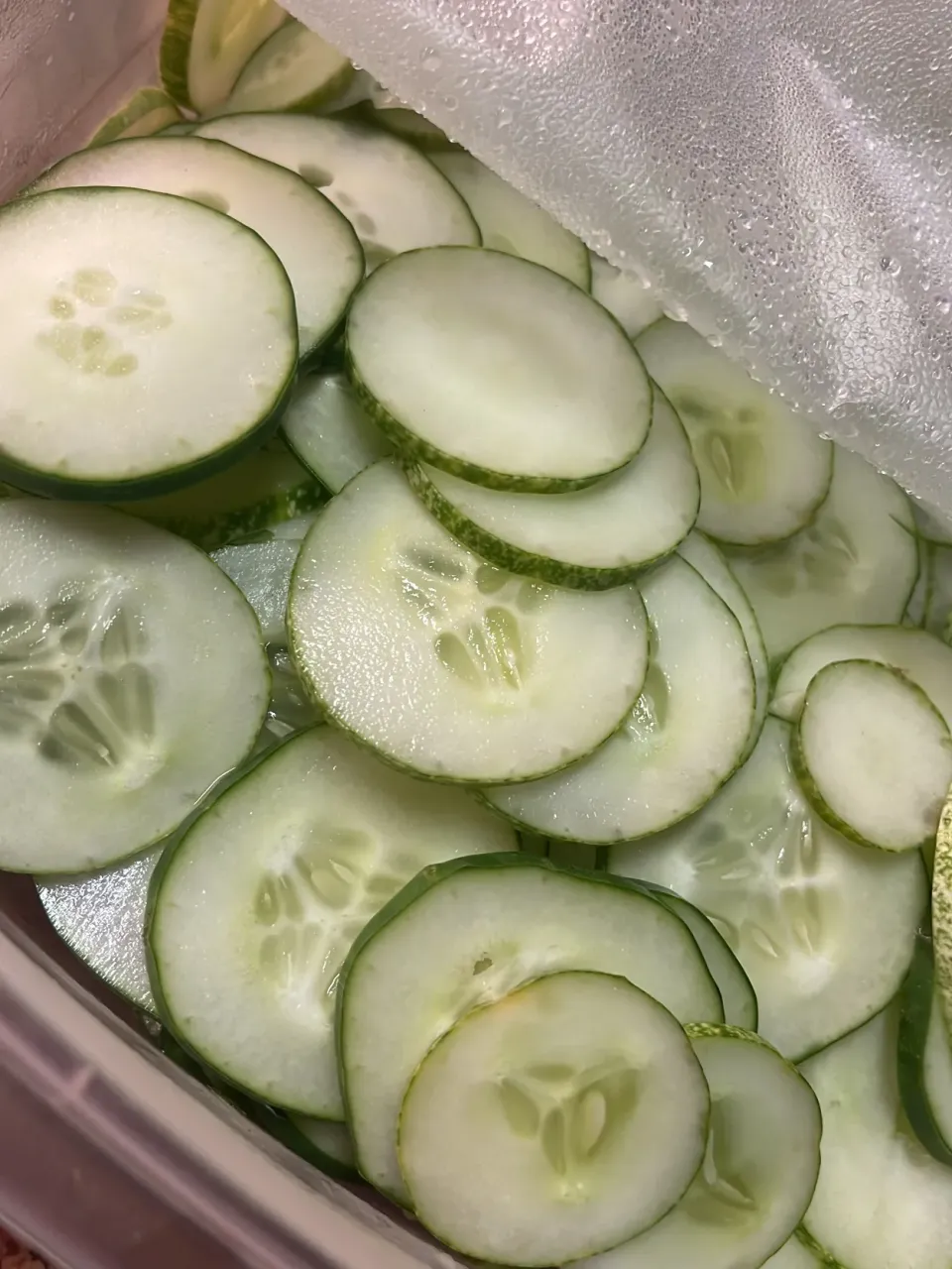 Snapdishの料理写真:Cucumber 😎|suさん