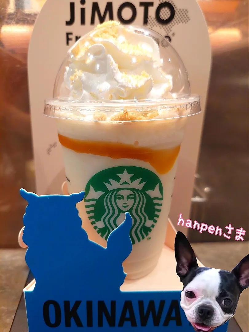 ちんすこうフラペチーノ|しあるさん