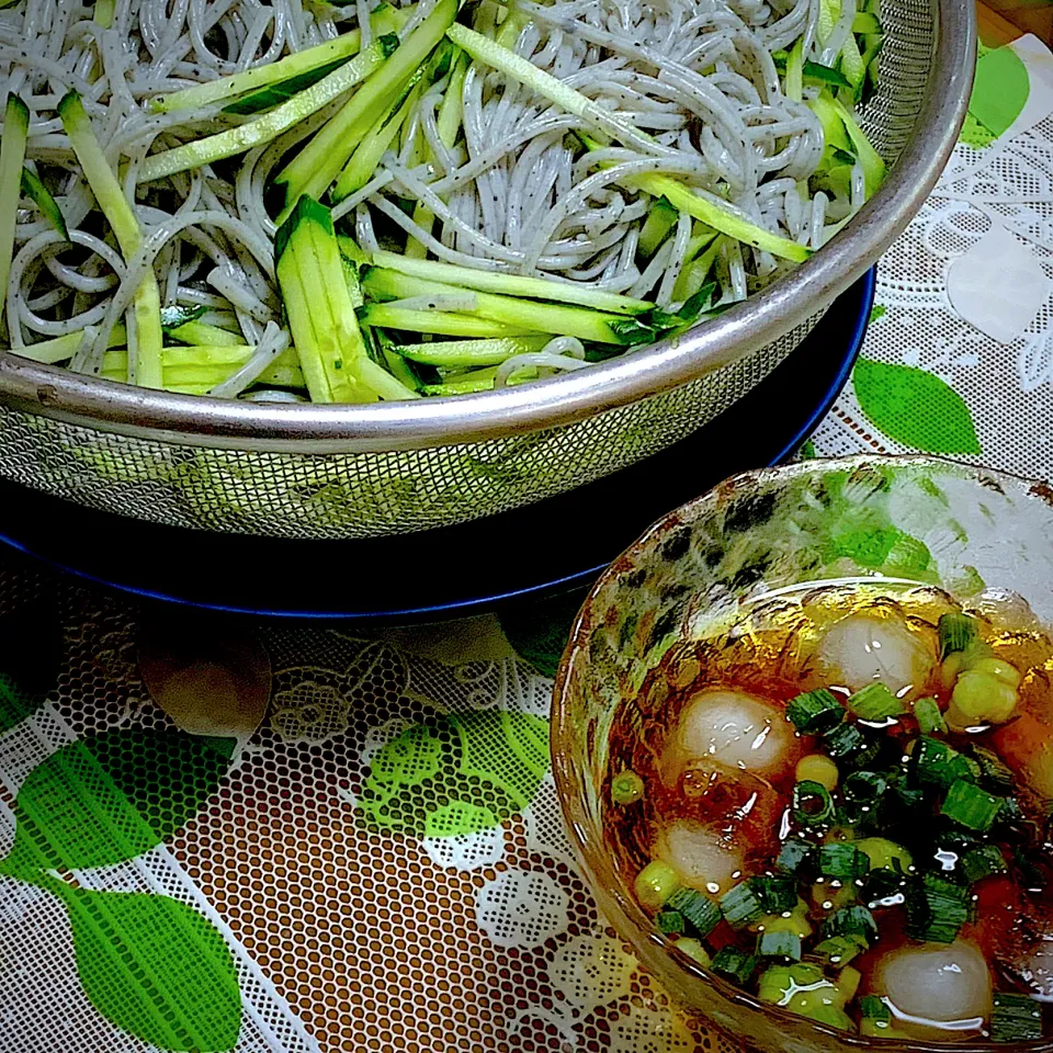 黒ごま素麺かさ増しにキューリでさっぱり|Yuko Kobayashiさん