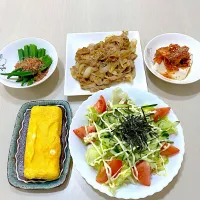 Snapdishの料理写真:サラダうどんの日|akofoodieさん