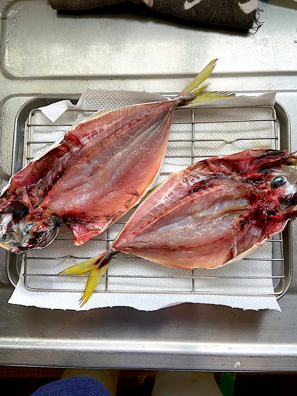 鯵の干物|まゆさんさん