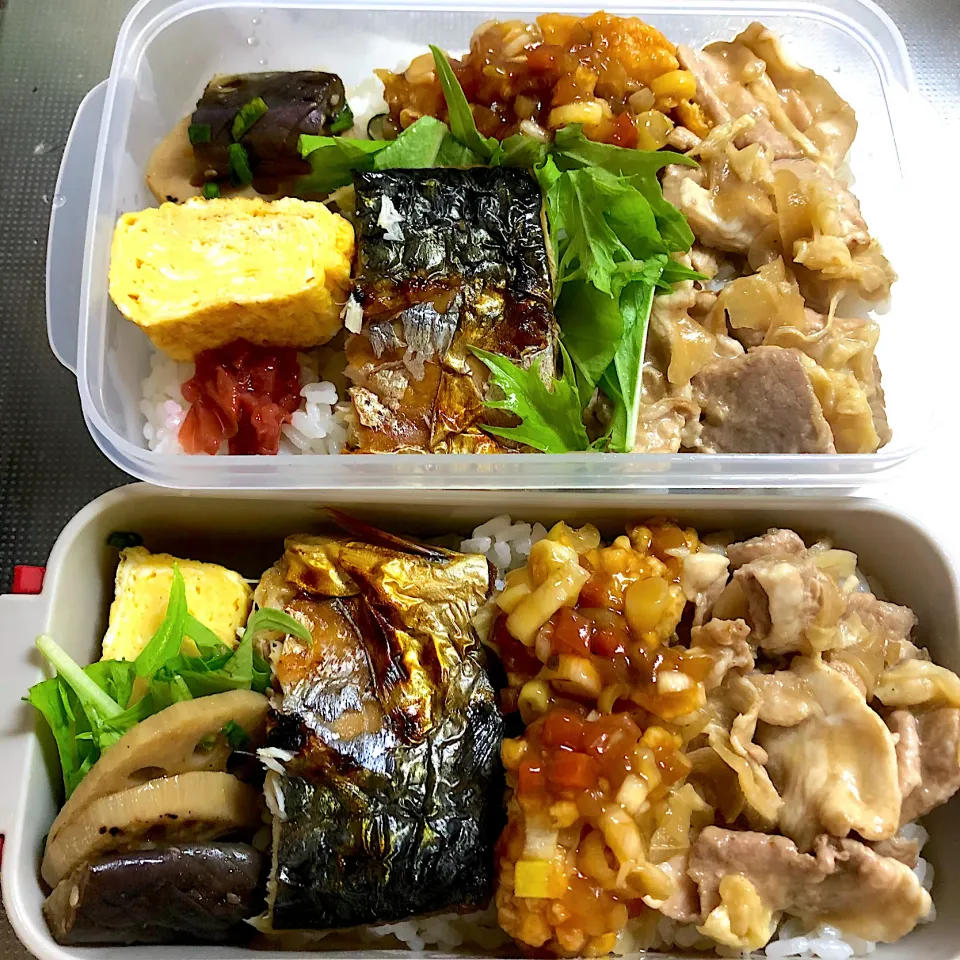 Snapdishの料理写真:乗っけ乗っけ弁|nao子さん