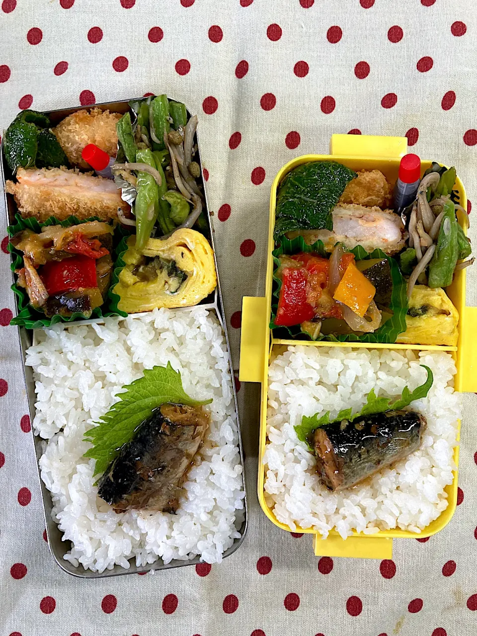 Snapdishの料理写真:8月9日 今日も猛暑 弁当🍱|sakuramochiさん