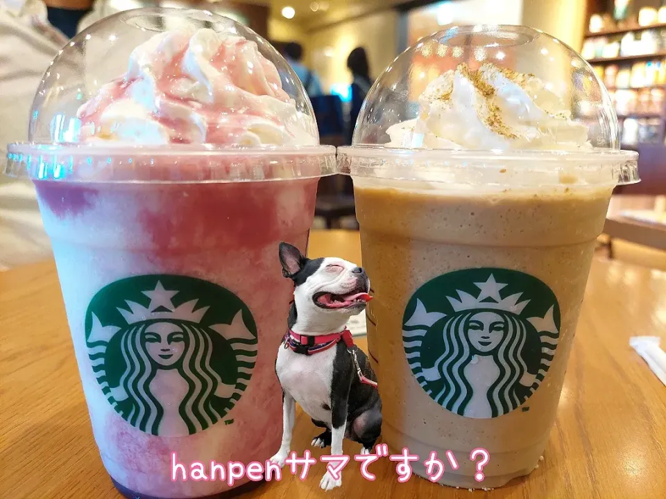 ブドウフラペチーノとほうじ茶フラペチーノ|しあるさん