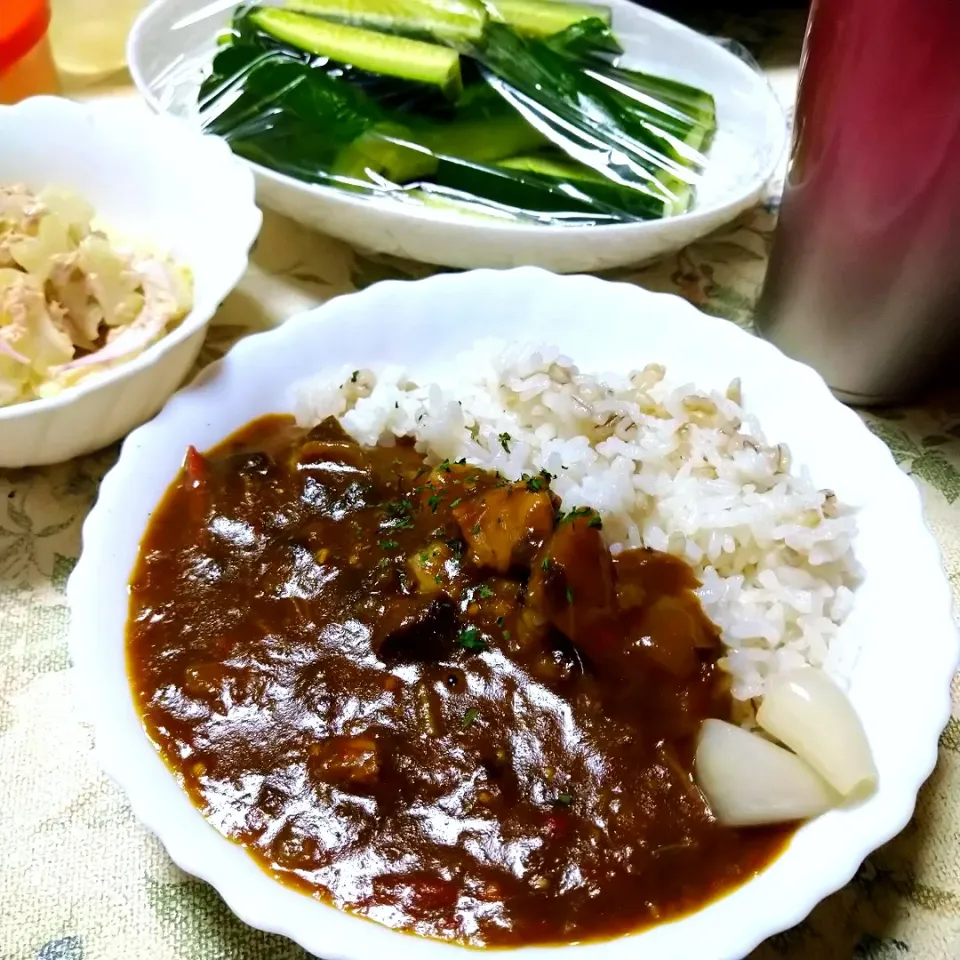 Snapdishの料理写真:茄子とトマトのチキンカレー、白ゴーヤーとツナのサラダ|うたかた。さん