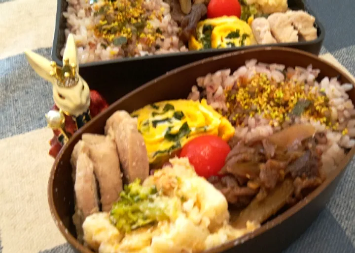 '22．8/12
本日のお弁当🍱|たえさん