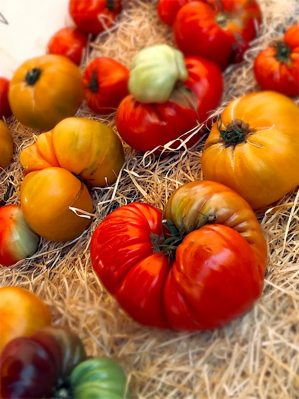 Snapdishの料理写真:Tomatoes|Luca Zammitさん