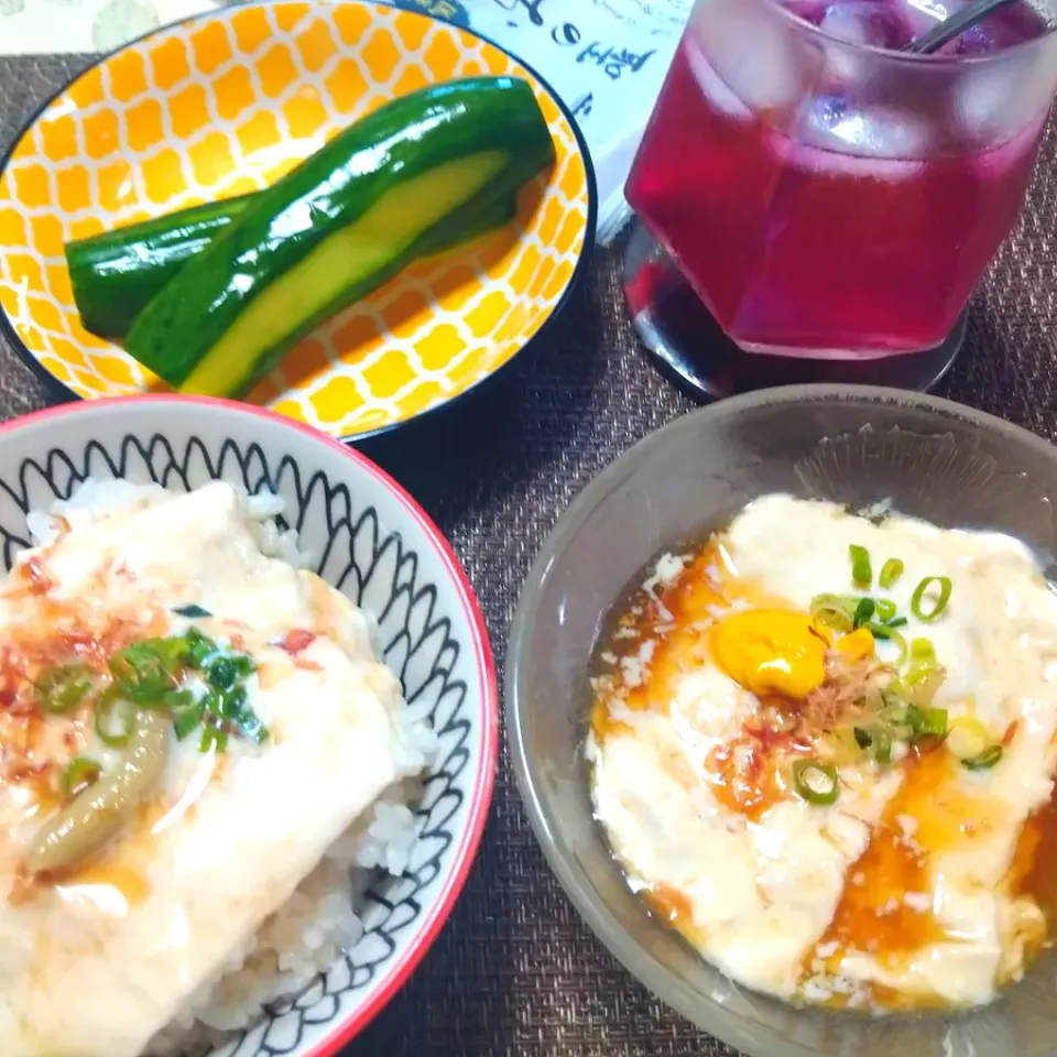 生湯葉丼、お刺身湯葉|うたかた。さん