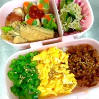 お弁当メニュー(鶏そぼろご飯　病みつき胡瓜　鶏手羽さっぱり煮　野菜の肉巻き　プチトマトの豚バラ巻き)|たかしさん