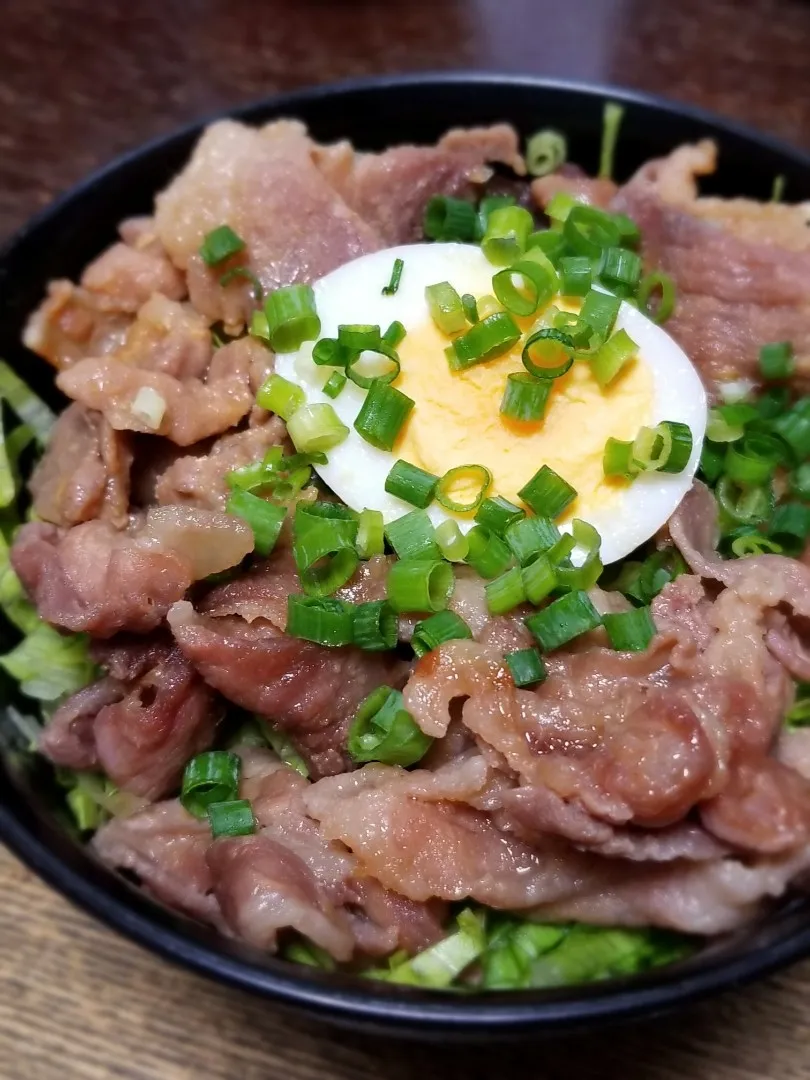 パパ盛付け👨豚こま相盛り丼|ぱんだのままんさん