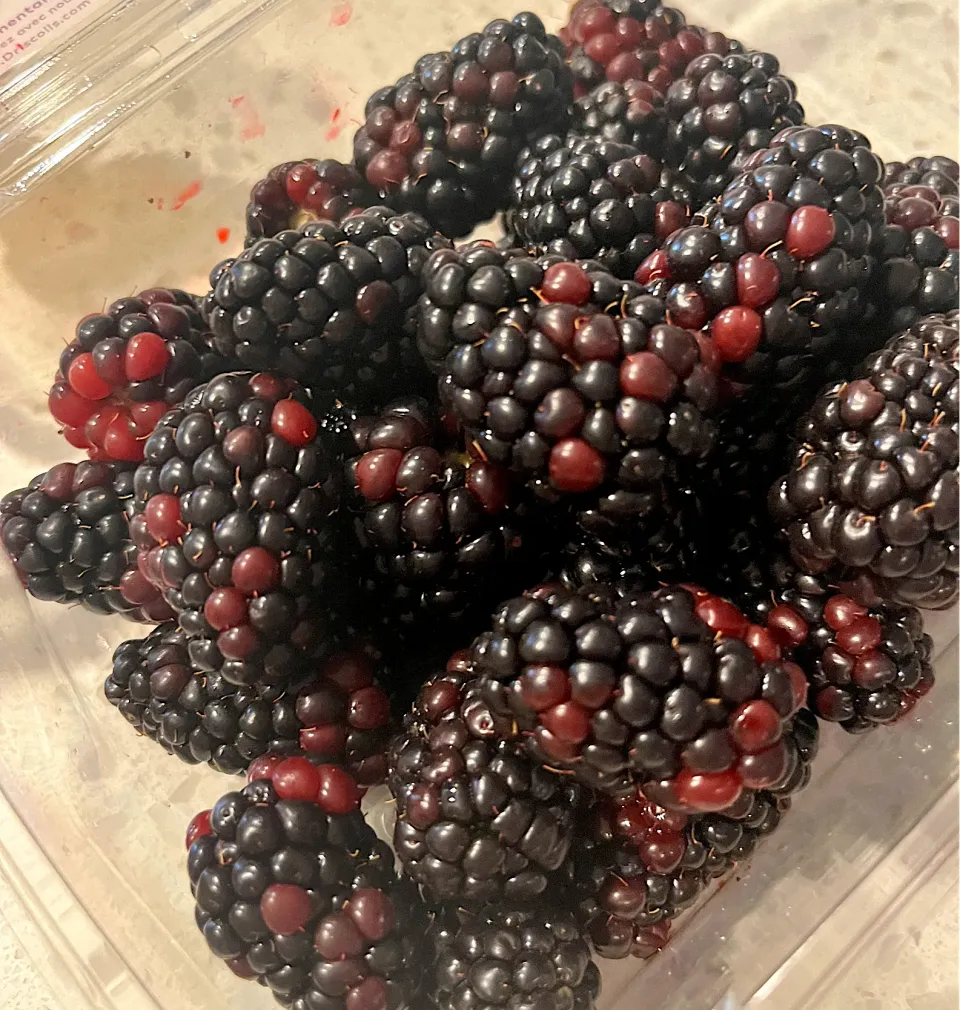 Sweet Blackberries😍|🌺IAnneさん