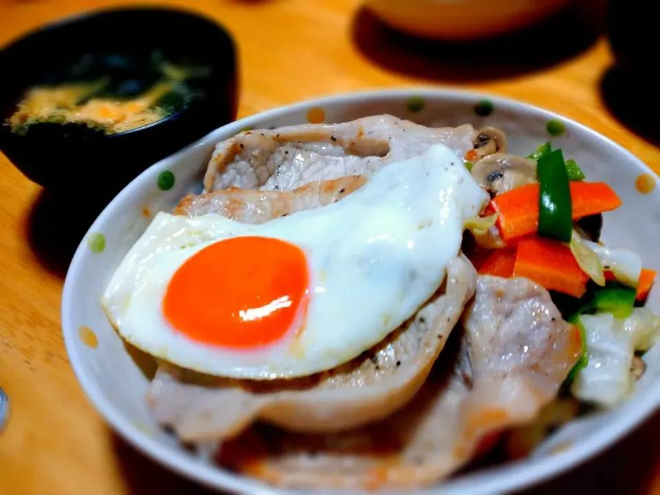 スパイシー野菜炒め焼肉丼|だりえさん