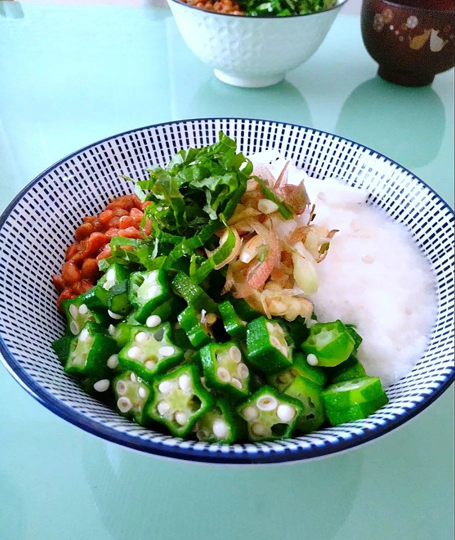 ネバネバ丼ぶりはいかが❓|かずにゃさん