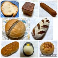 フランスパン、コロコロン、硬いあんぱん、無農薬和紅茶のロイヤルミルククリーム、農夫のパン、オレンジピールロール、miniごまペン、チーズロール