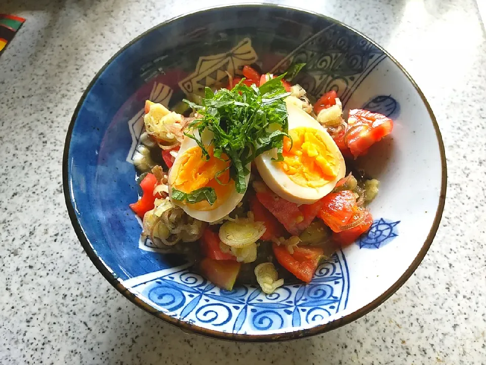 ナス、トマトの冷や汁ご飯|こいけさんさん