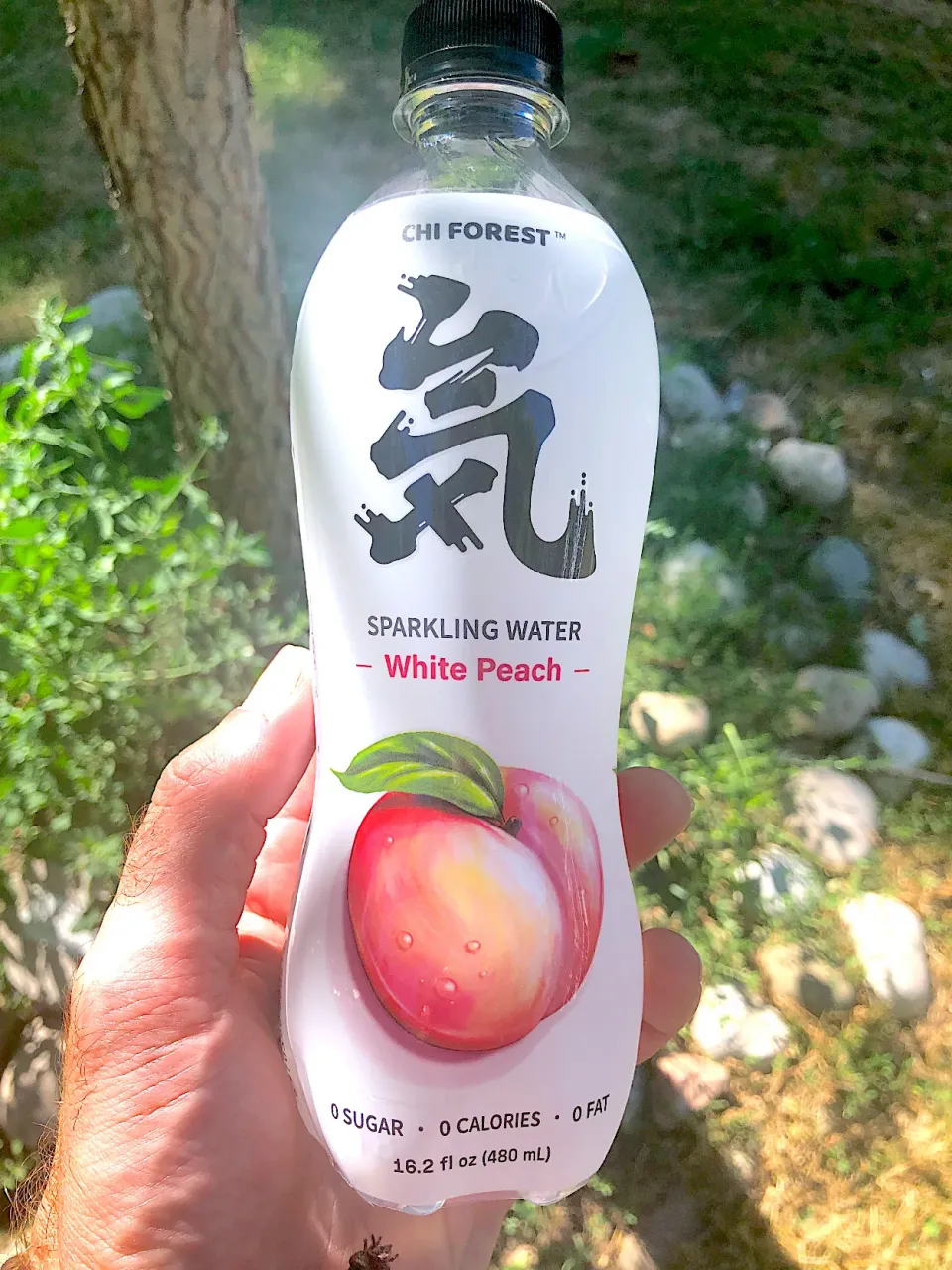 Chi Forest White Peach Sparkling Water|BentoFoxさん