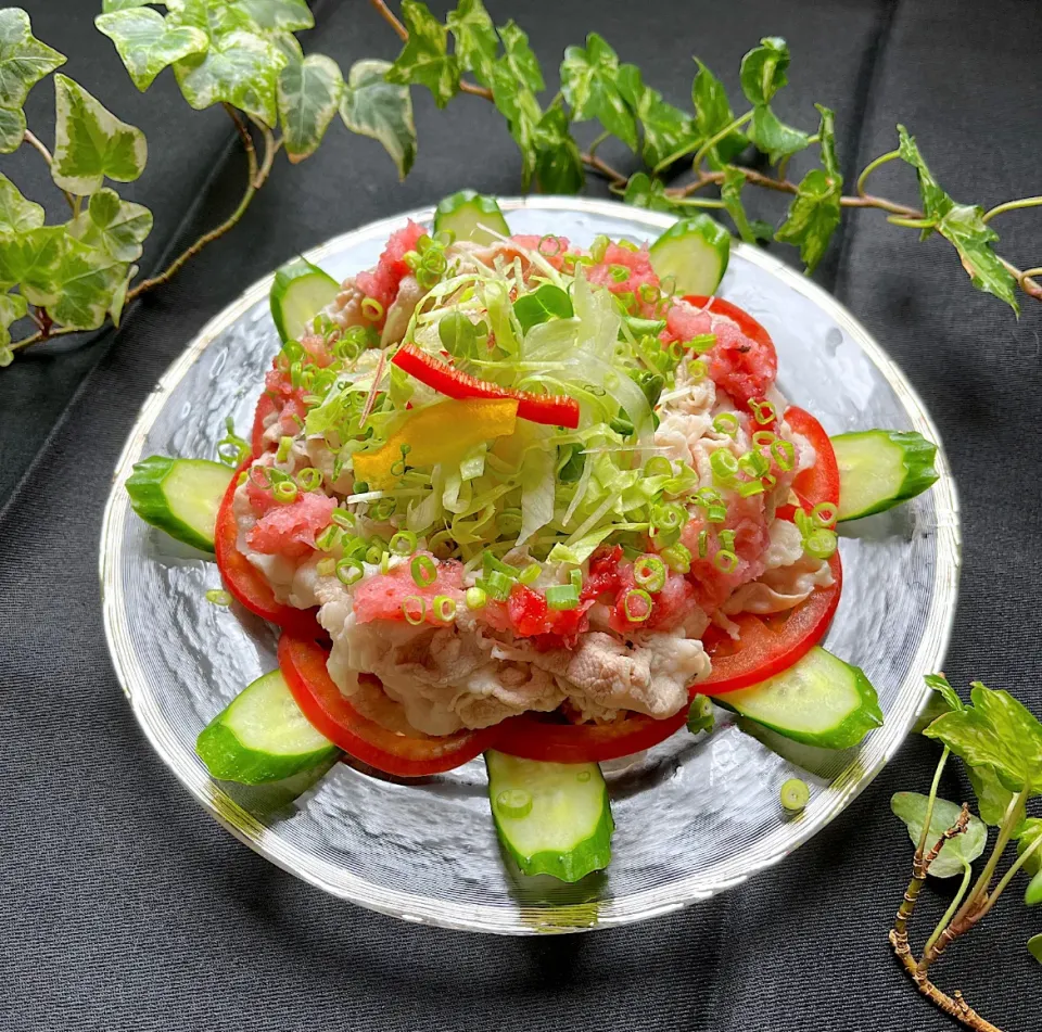 Snapdishの料理写真:🥗薬味たっぷり混ぜた薬味サラダの冷やし豚しゃぶ乗っけ🐷|Hollyさん