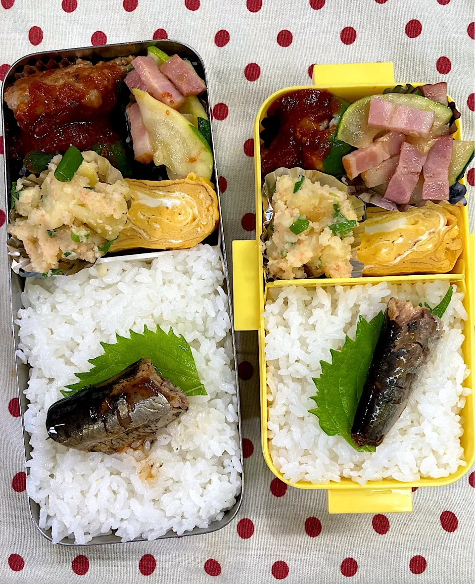 8月19日　週末弁当🍱|sakuramochiさん