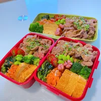 Snapdishの料理写真:生姜焼き盛りだくさん弁当🍱|ちはるさん