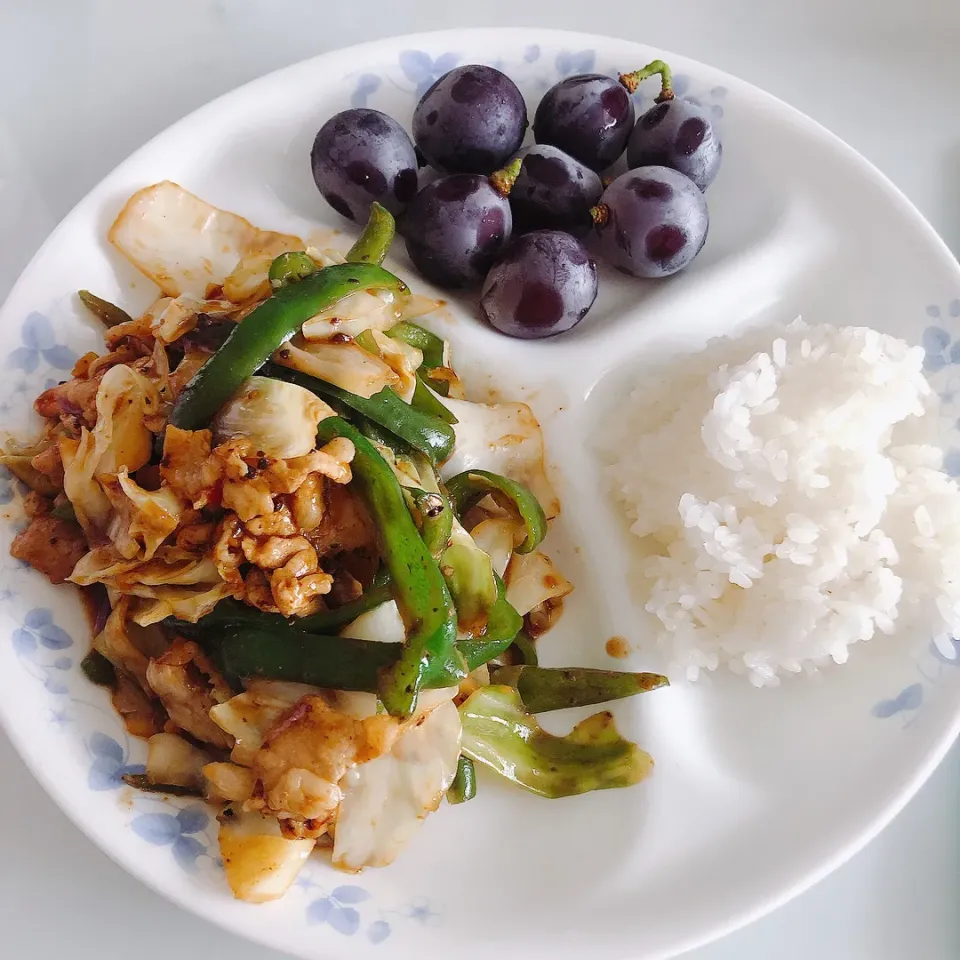 お昼ご飯|まめさん