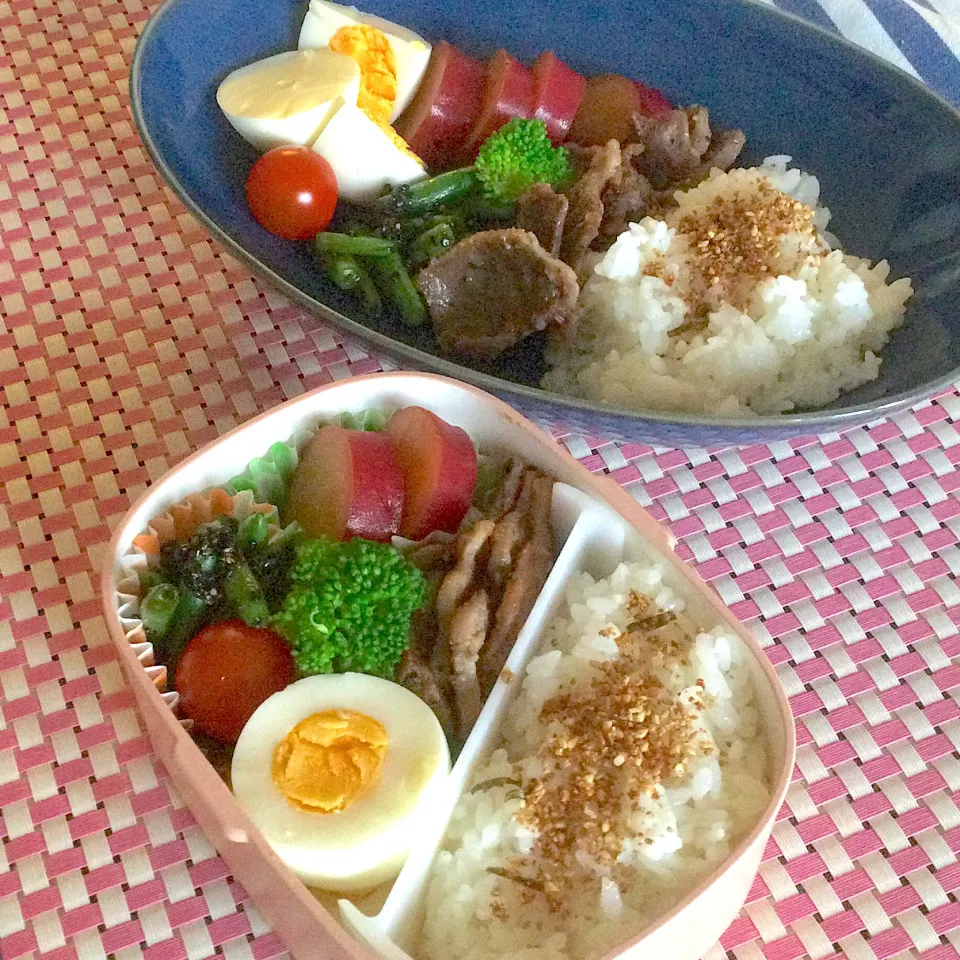 Snapdishの料理写真:娘たちのお弁当|yukoさん