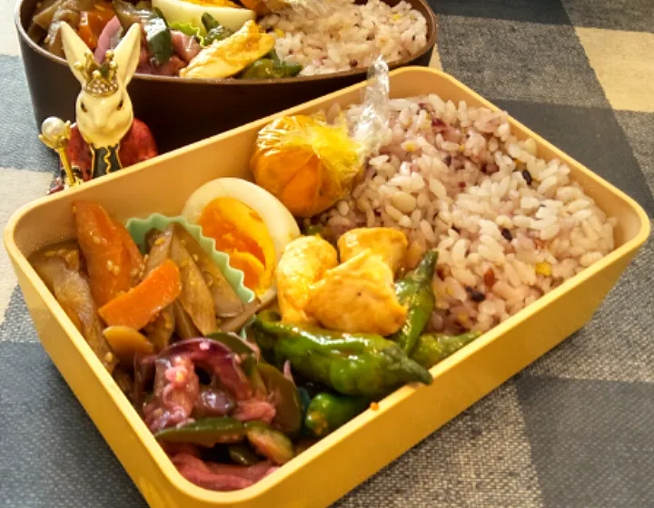 '22．8/24
きょうのお弁当🍱|たえさん