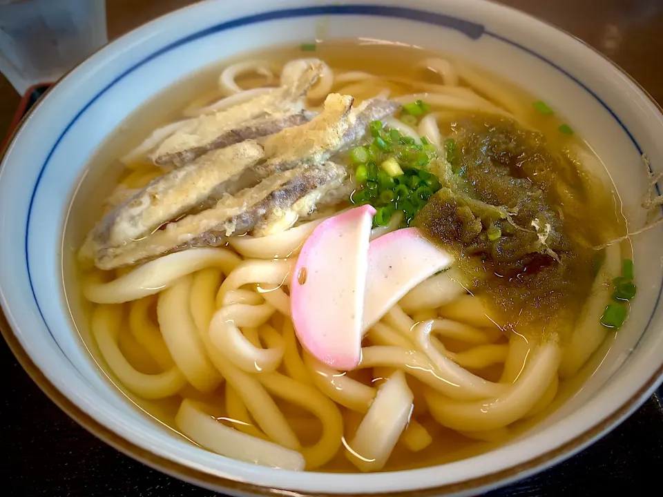 大分県日田市の天神うどんさんのごぼう天うどん😊明日まで出張です。|ひーちゃんさん