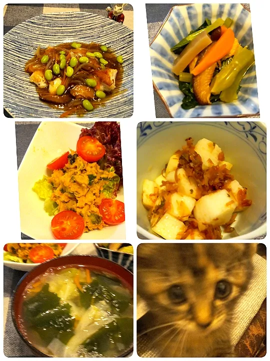 Snapdishの料理写真:'22．8/25
今夜は鱈の甘酢餡掛けと長芋の梅おかか和え作りおきの小松菜の煮浸しとかぼちゃのサラダと具だくさんの味噌汁😋|たえさん