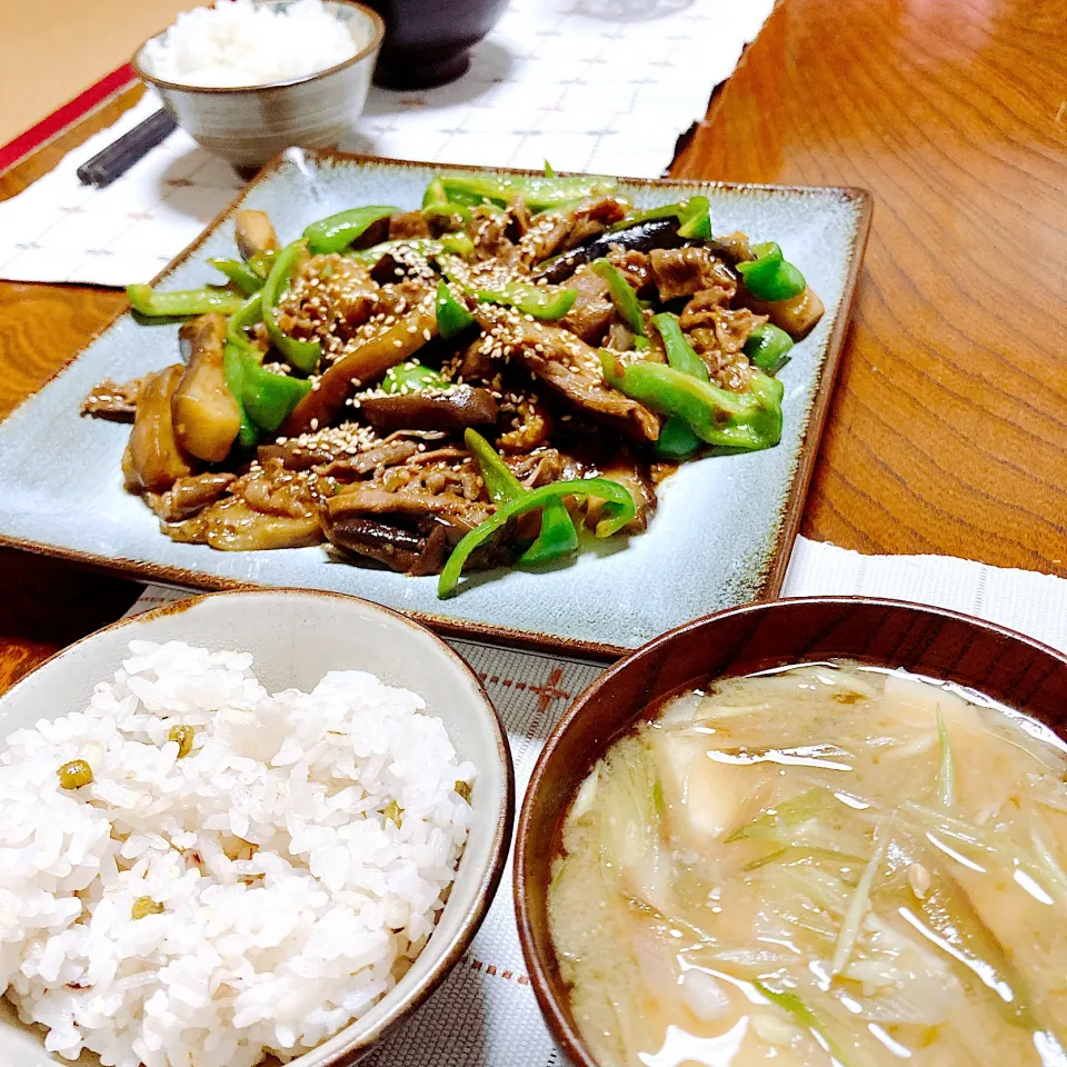 茄子とピーマンの牛肉味噌炒め|akkoさん