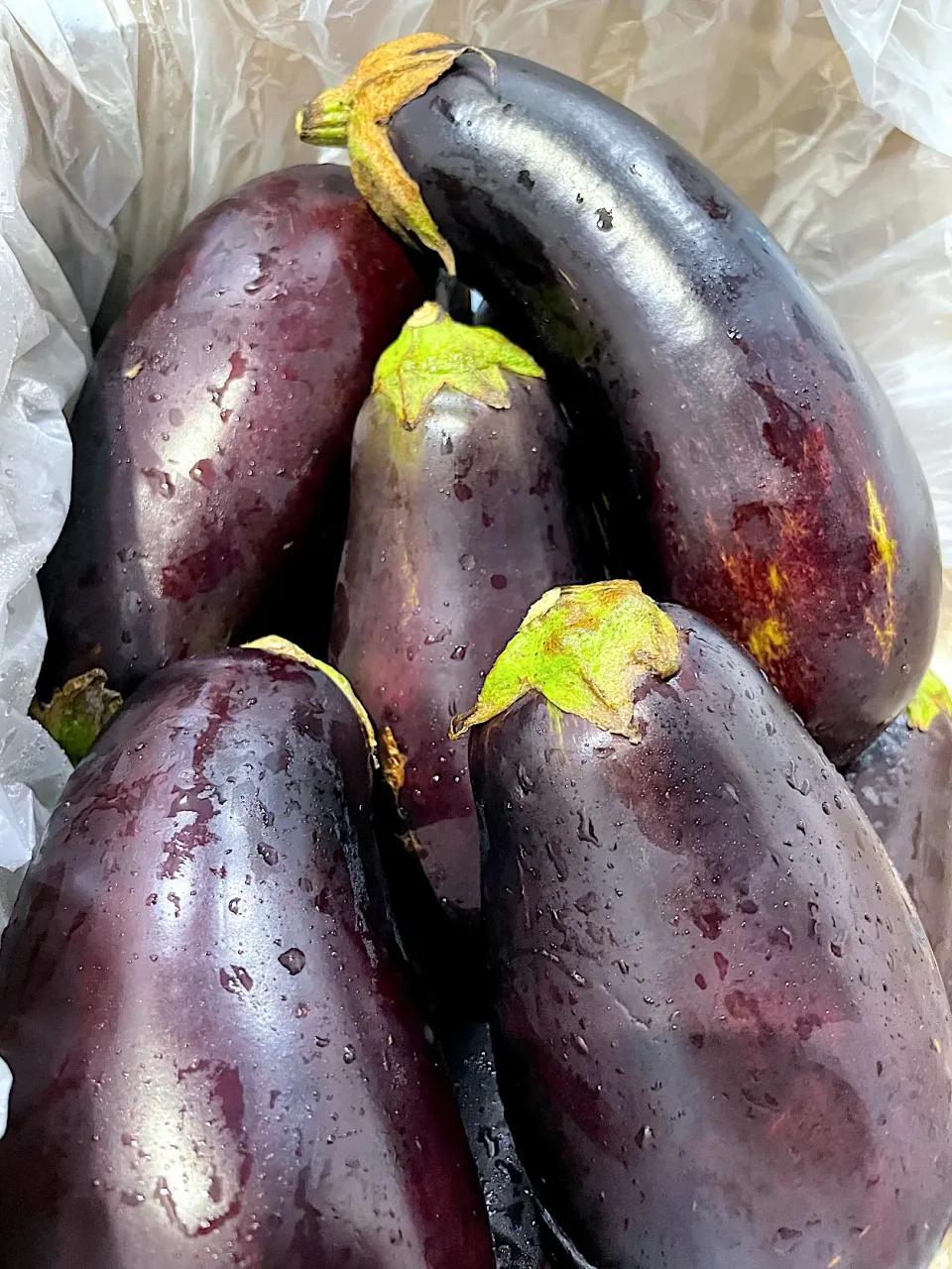 Snapdishの料理写真:eggplants|hweeyhさん