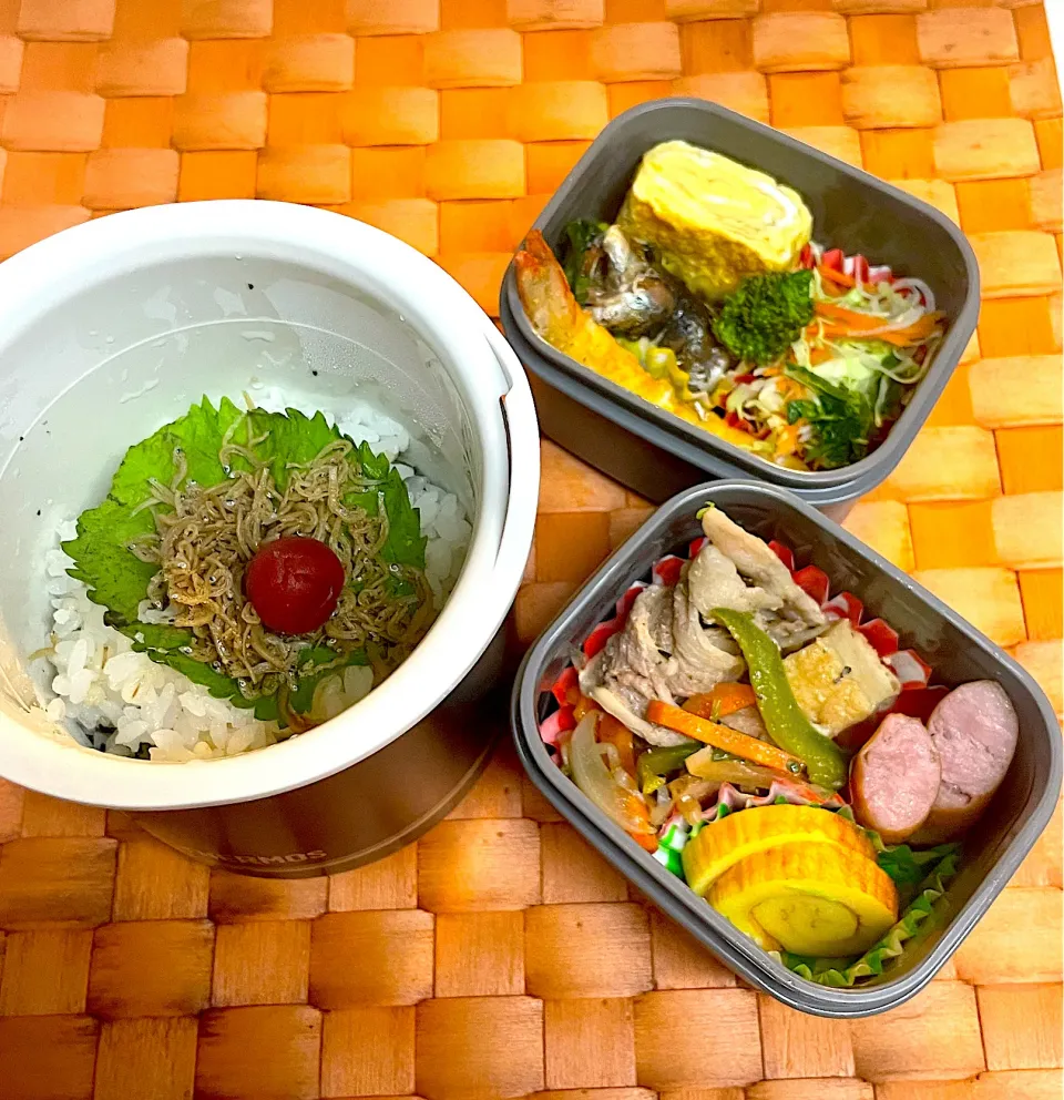 Snapdishの料理写真:中学生息子のお弁当🍱 豚肉のエスニック炒めとエビフライ弁当🍱|Snow10さん