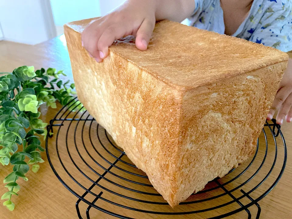 ＊カックカク😆甘酒食パン🍞＊|＊抹茶＊さん