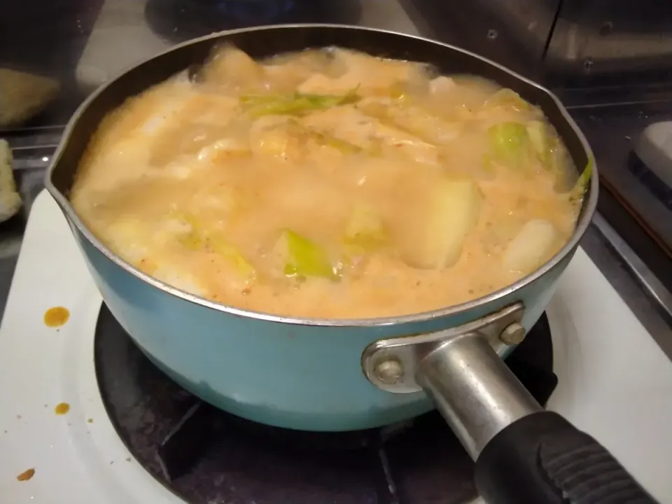 ガスコンロが汚れた～💦

今日はわりと涼しいので鶏むね肉で味噌鍋にしました🍲|にんにくと唐辛子が特に好き❤️(元シャリマー)さん