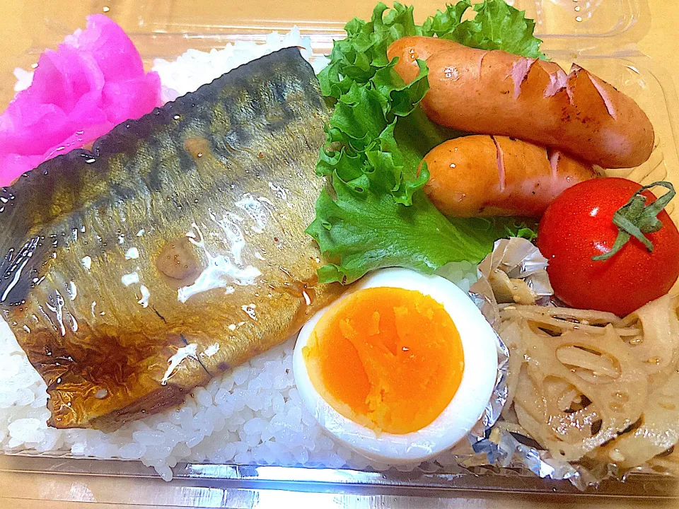 今日のお弁当🍱|サチ😊さん