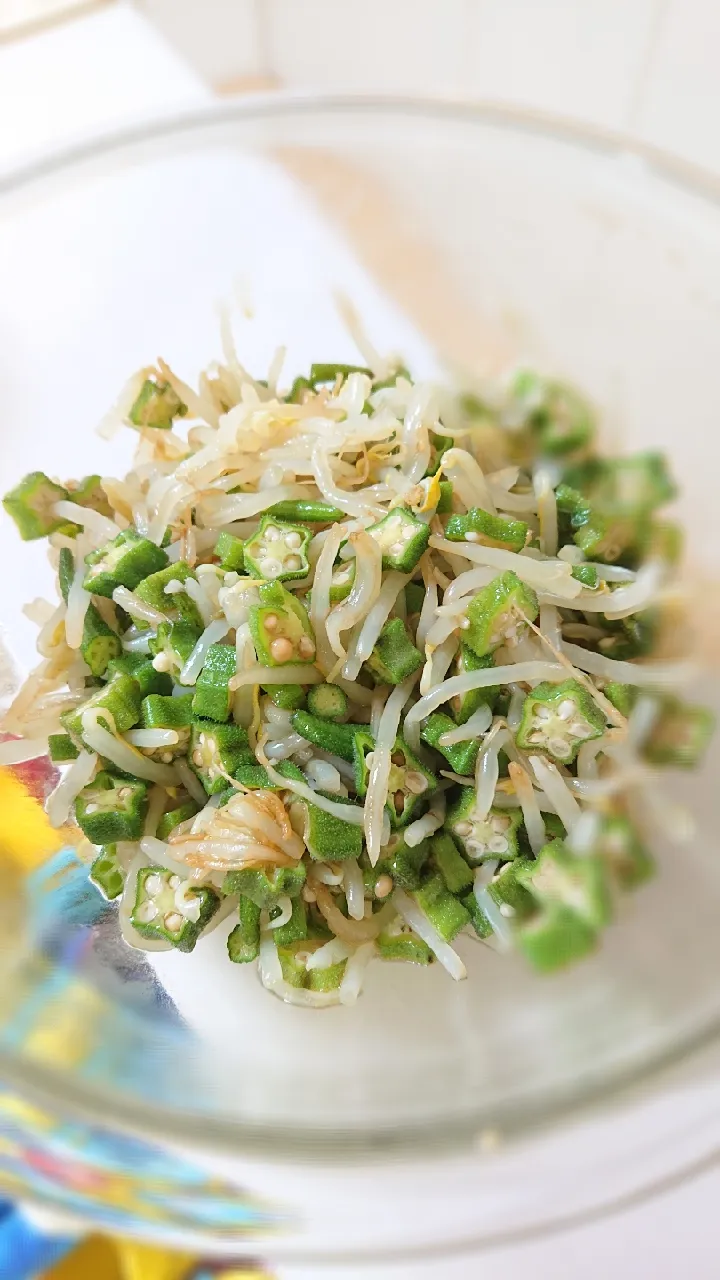 もやしとオクラの鶏ガラナムル🥗🥗|まなみさん