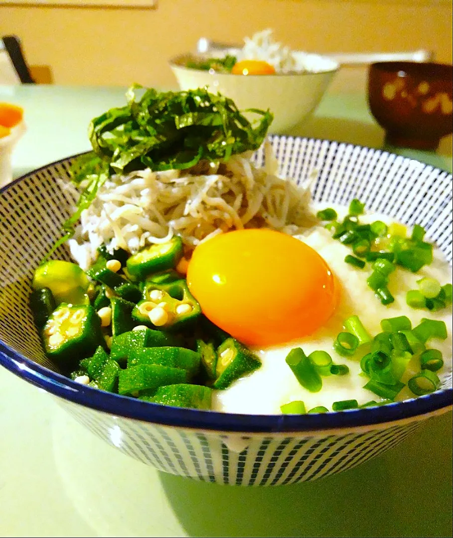 釜揚げしらすが美味しいネバネバスタミナ丼❗|かずにゃさん