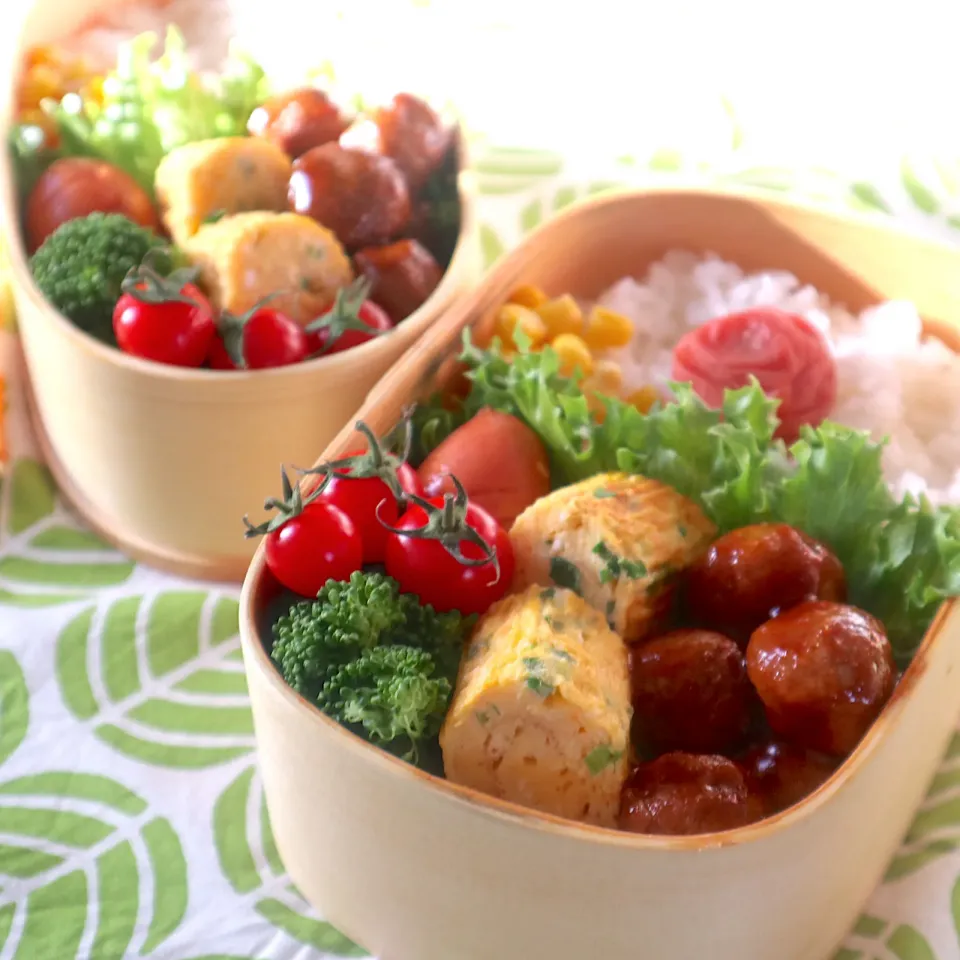 高校生男子弁当🍱レンチン肉団子|なかじー。さん