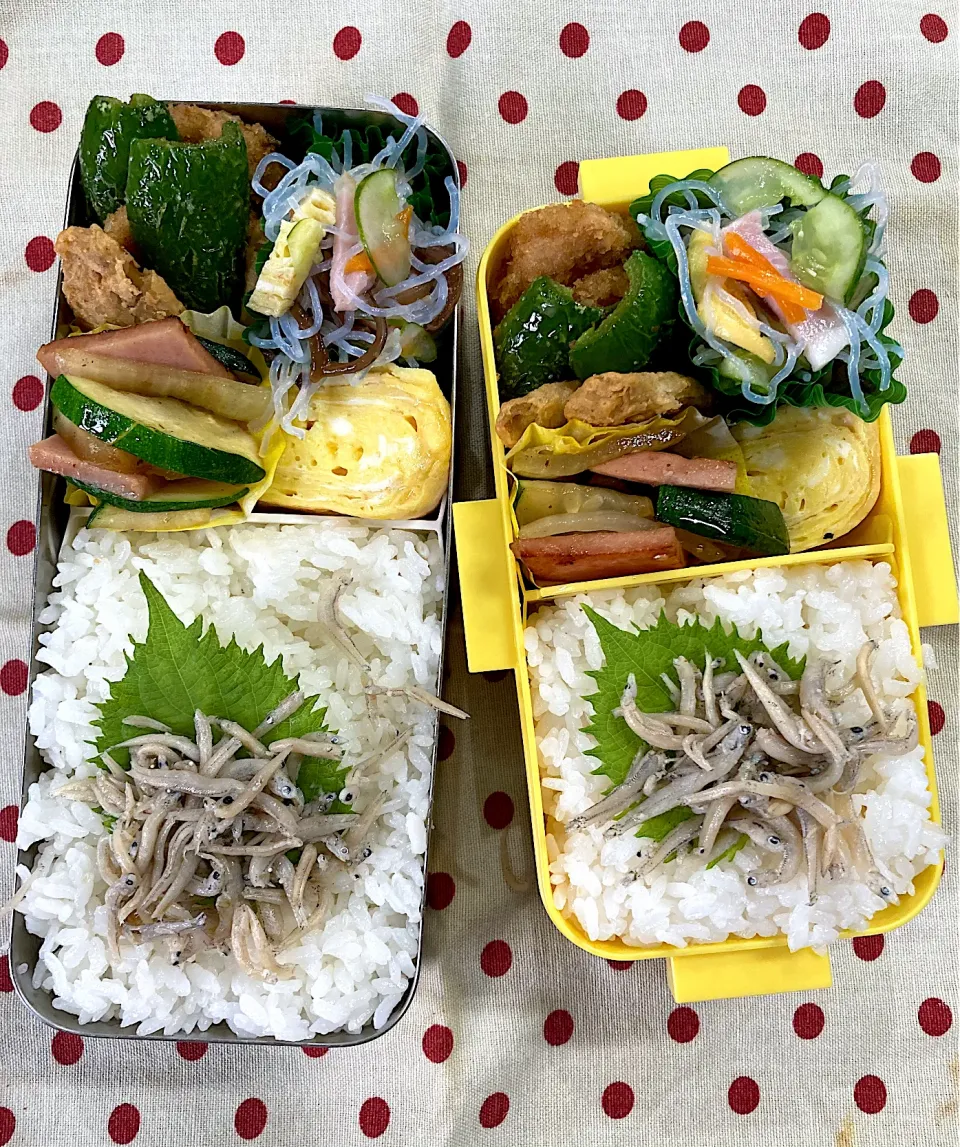 Snapdishの料理写真:8月31日　月末　野菜(831)の日 弁当🍱|sakuramochiさん